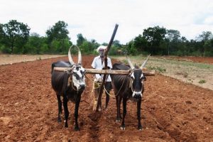 Congress demands loan waiver for Maharashtra farmers