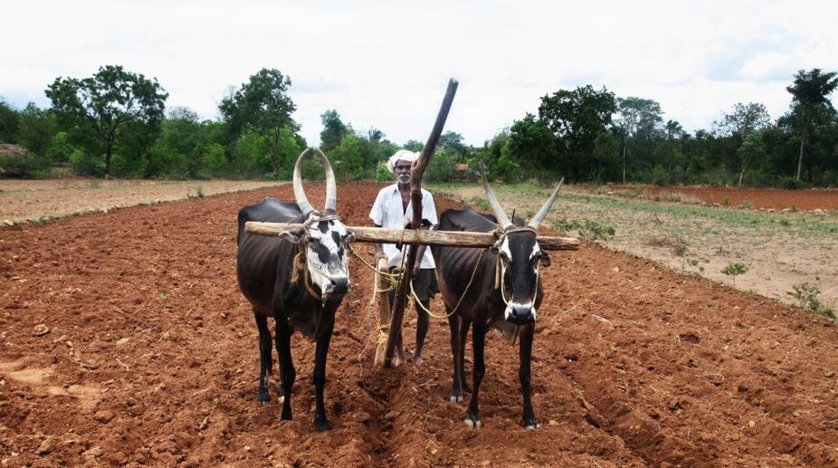 Congress demands loan waiver for Maharashtra farmers