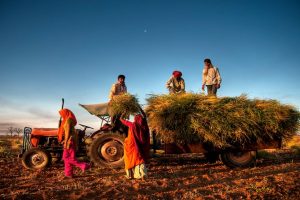 Tax agriculture income, says NITI Aayog member Debroy