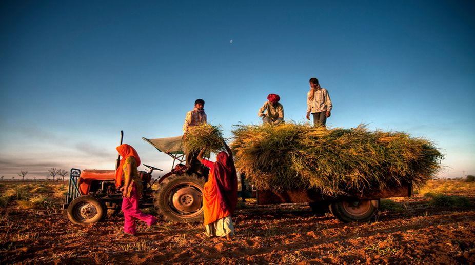 Agriculture infrastructure fund crosses Rs 30,000-cr mark of capital mobilisation