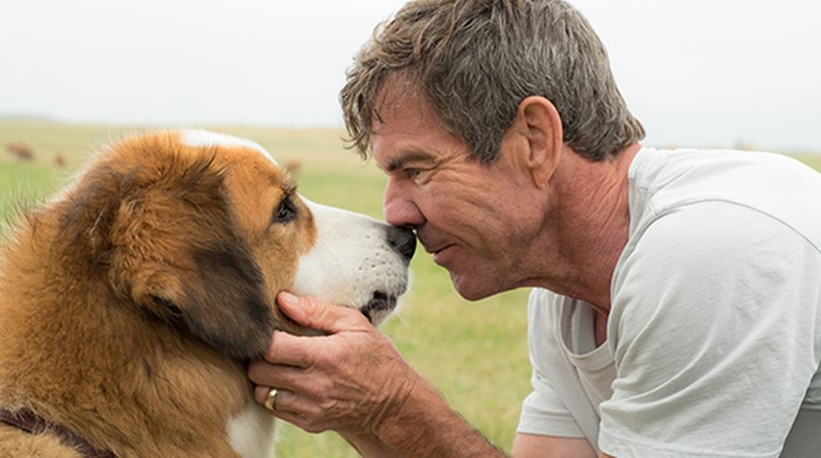 ‘A Dog’s Purpose’ to release in India on March 31
