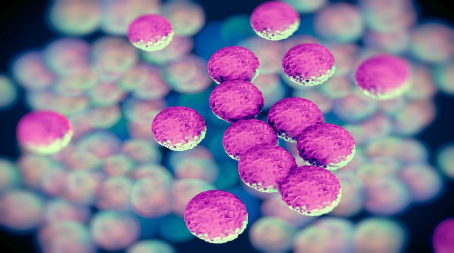 New approach may help combat drug resistant superbugs