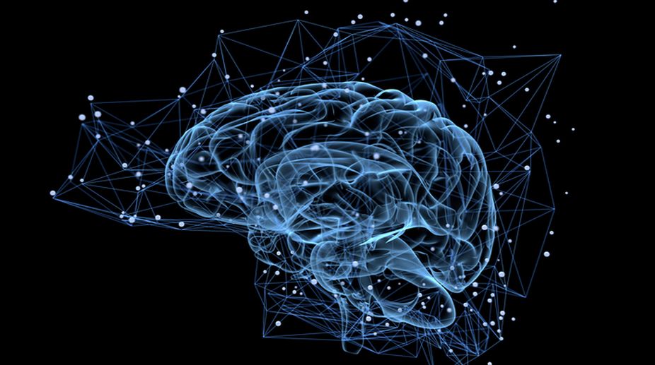 Brain’s GPS helps in forming new memories