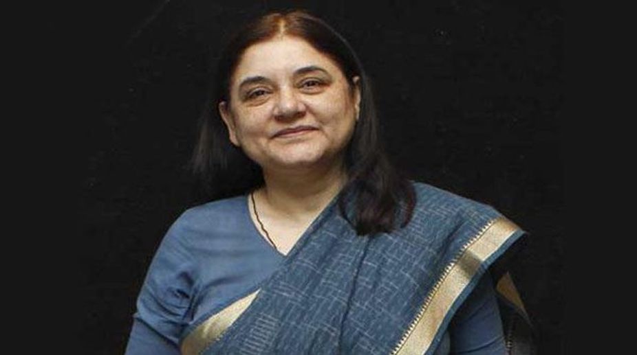 New rules would ensure cattle is not ill-treated: Maneka Gandhi