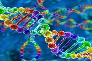 Discovery of simple method to extract DNA claimed