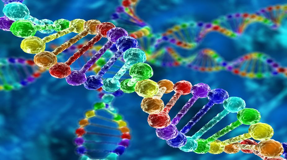 Night shifts may hamper DNA repair