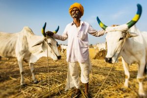 UP farm-loan waiver: Punjab farmer leaders unimpressed
