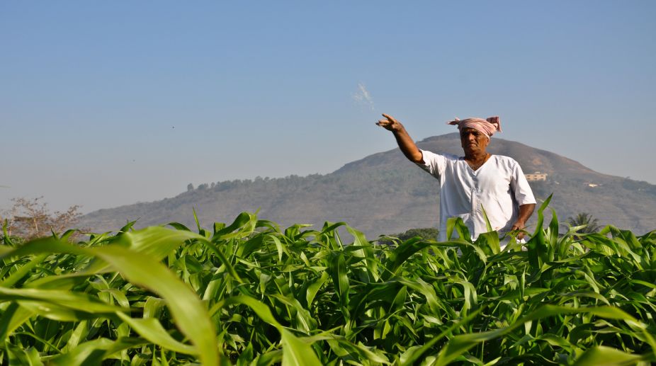 Relief for farmers, IFFCO keeps fertilisers’ prices same