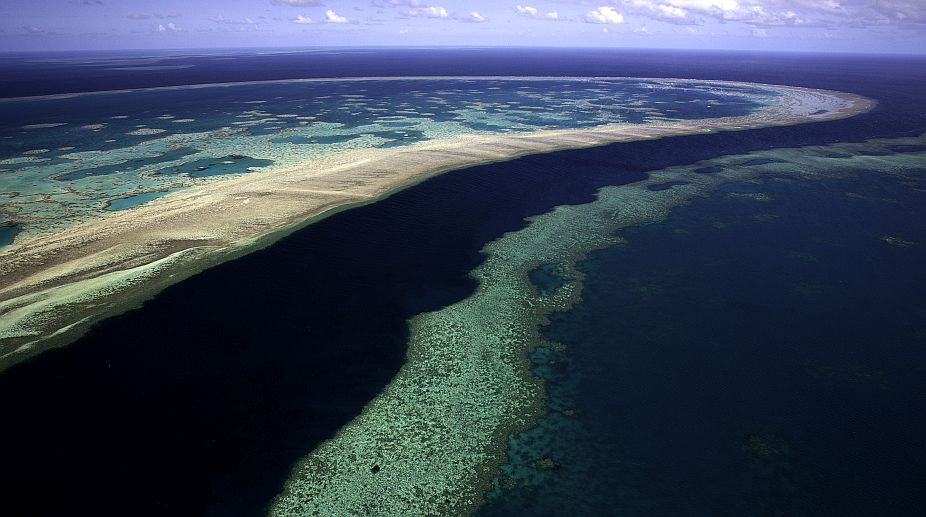 Great Barrier Reef damage may cost $1 trillion globally