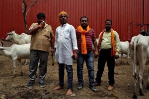 Attack by cow vigilantes in Bihar hits meat-beef supply in Kolkata
