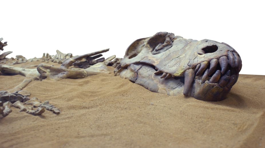 New species of sauropod dinosaur found in Tanzania