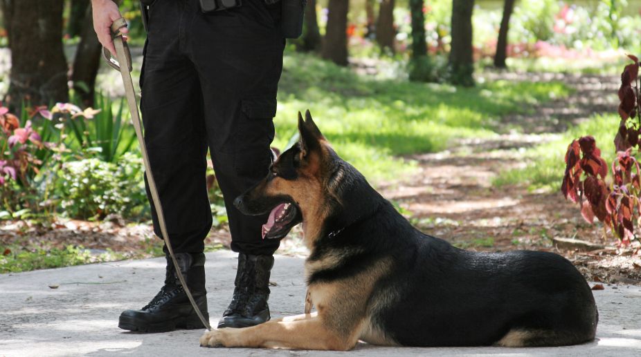 Delhi Police dog squad to get 100 new members