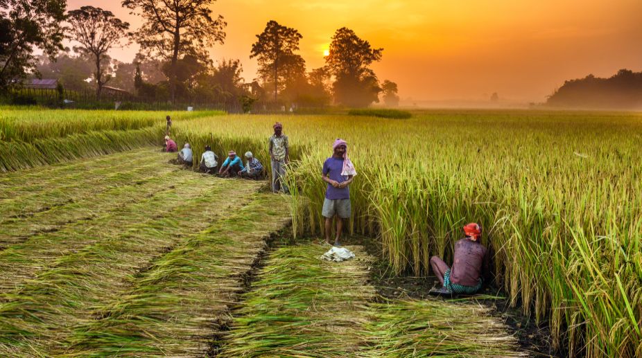 Tripura gets national award for record food production