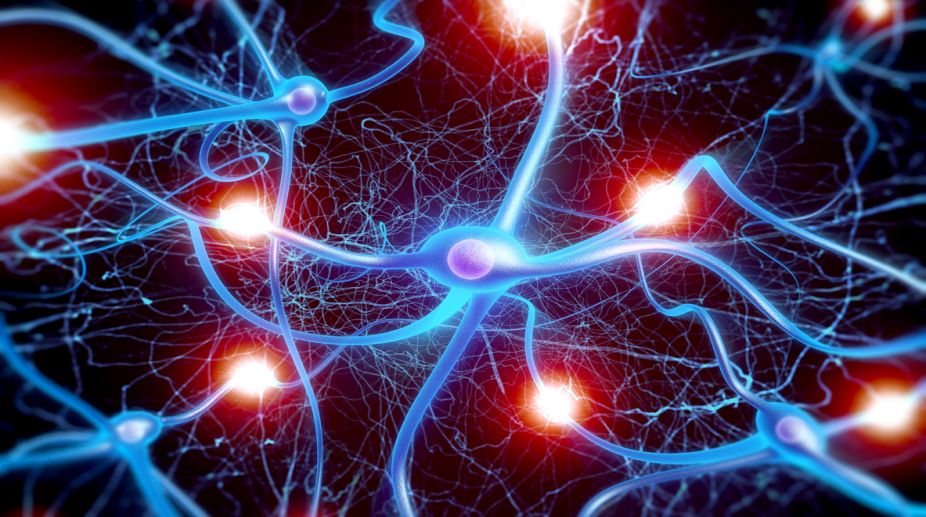 New ‘wonder-drug’ may prevent brain cells from dying