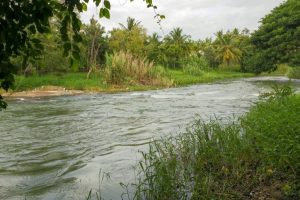 ‘Guj govt discriminating against tribals in Narmada water allocation’