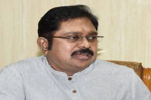 TN government will fall in three months: Dhinakaran