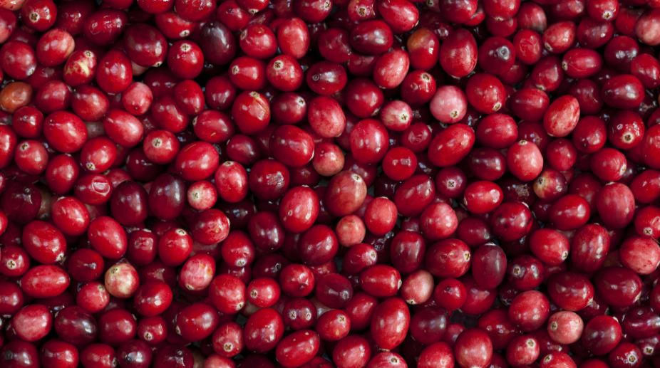 Cranberries may help cut urinary tract infections