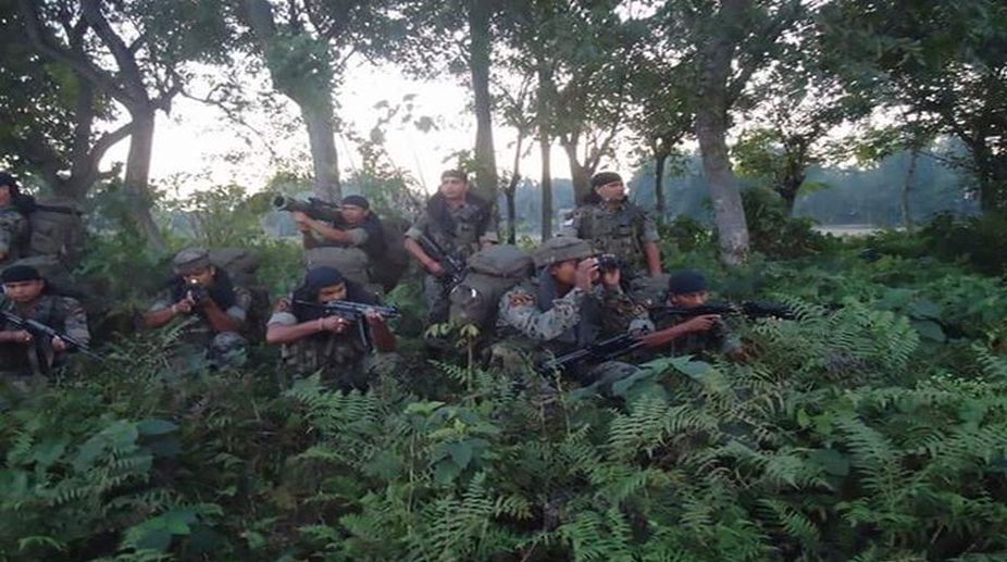 Maoist killed, security forces, Jharkhand