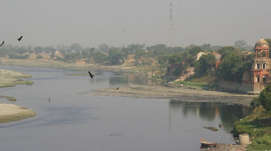 Need for carrying out plantation drive on Yamuna banks