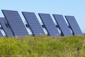 Rajasthan invites Japanese firms in solar energy sector