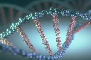 75 per cent of human genome is junk DNA