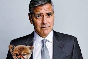 George Clooney to return to TV with ‘Catch-22’
