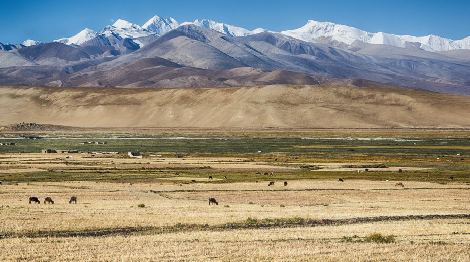 Warming climate threatens stability of Tibetan grasslands