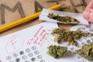 Marijuana use linked to poorer school performance