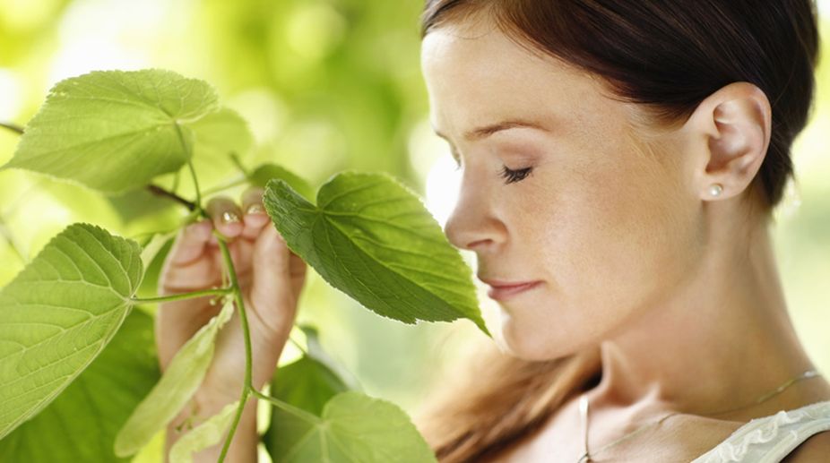 Human sense of smell as good as that of dogs