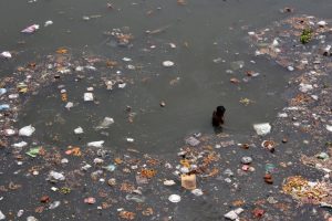 World Heritage-listed island most polluted place on Earth