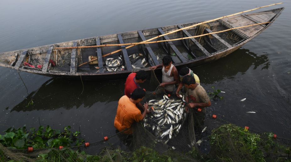 Cargo vessel hits fishing boat off Kerala, 2 killed