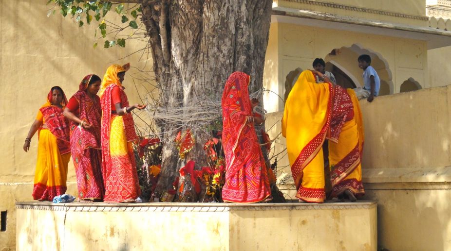 Vat Savitri Puja celebrated as women pray for longevity of husbands