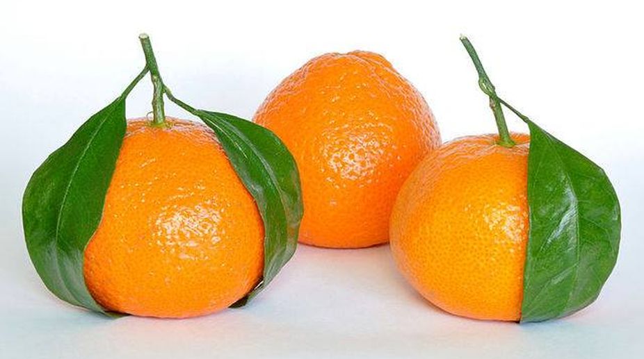 ‘Made in India’ Israeli oranges to hit market soon
