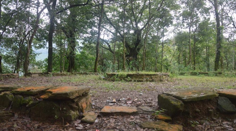 Manipur declares Dailong village Biodiversity Heritage Site