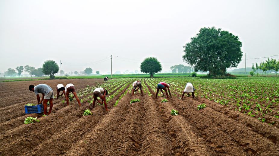 UP, 6 other states slow in issuing soil health cards: Singh