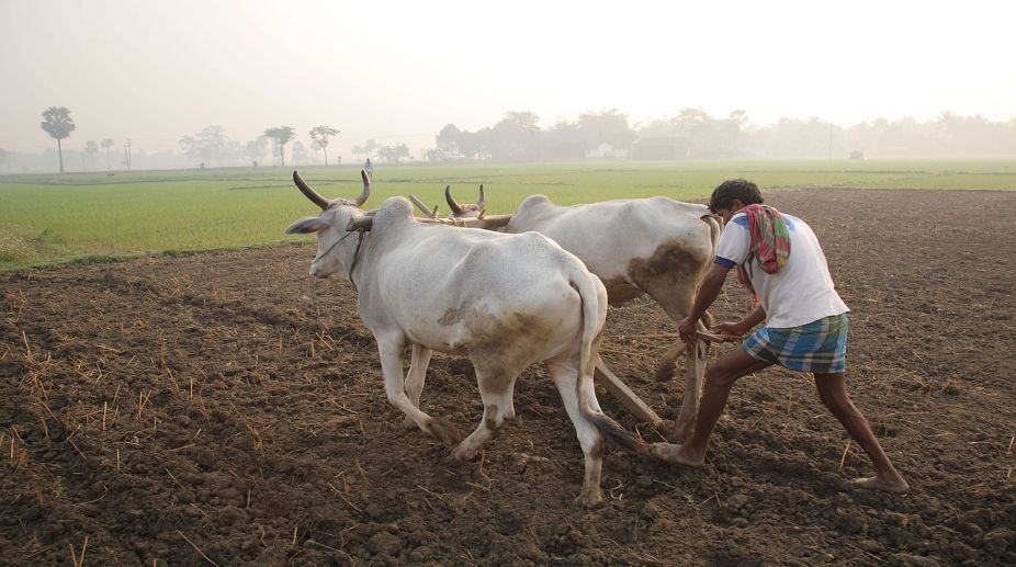 Moneylenders still rule India’s rural economy