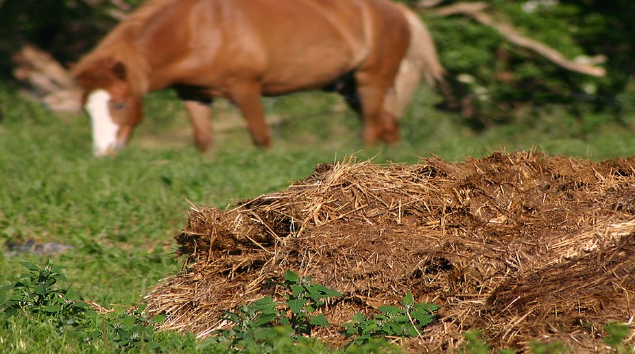 Haryana scheme for sale of organic manure, cow urine