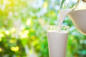 Shimla goes without milk, dairy products