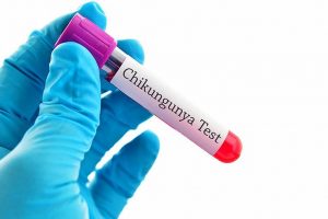 Delay in ‘Made in India’ chikungunya vaccine, researchers seek govt intervention