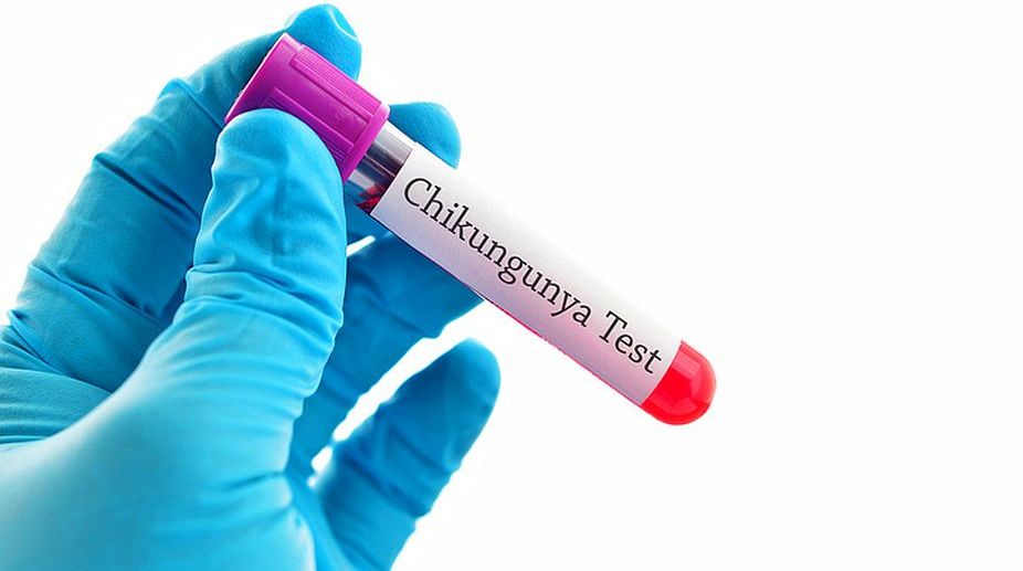Delay in ‘Made in India’ chikungunya vaccine, researchers seek govt intervention