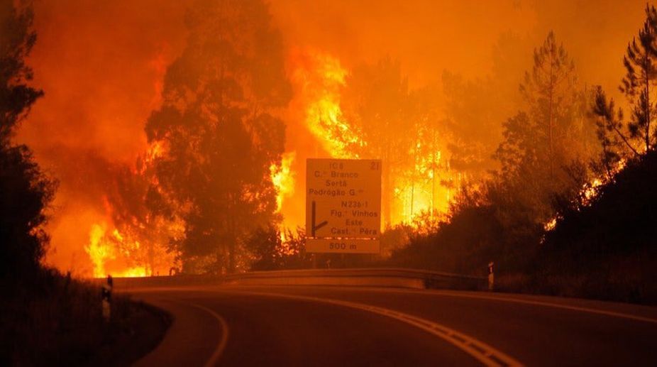 Death toll in Portugal wildfire rises to 64