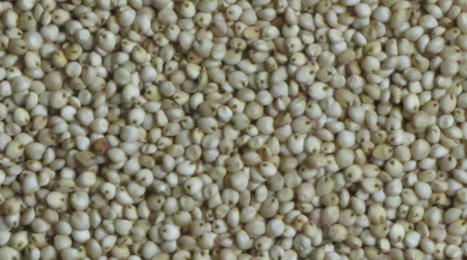 Govt won’t hike PDS foodgrain prices for another year: Paswan