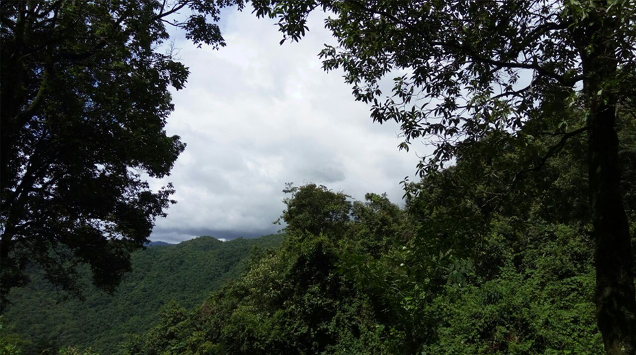 The mountain view
