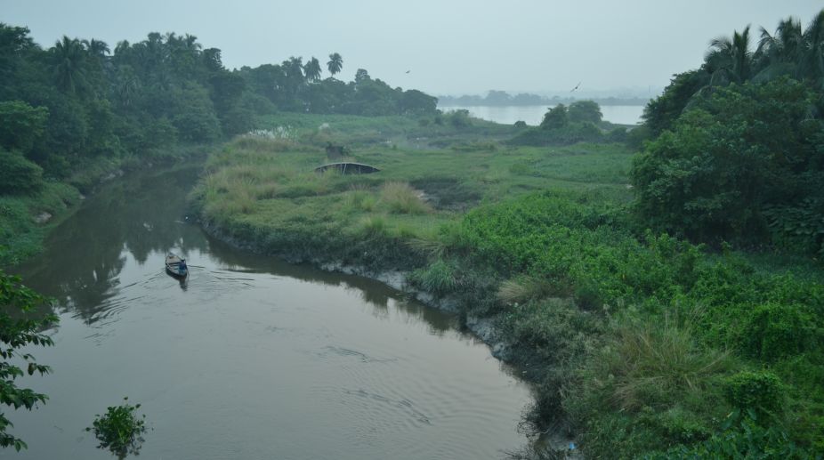 Revival of Saraswati river: Haryana govt forms technical committee