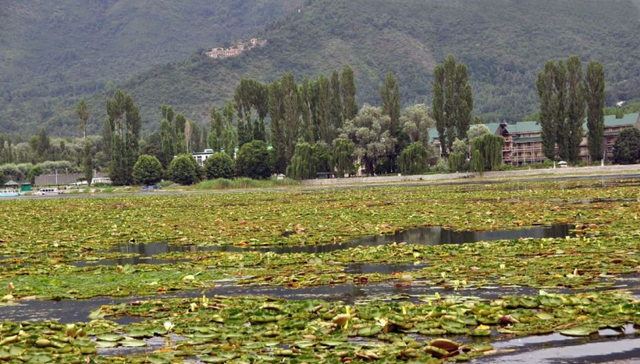Dal Lake, Jammu and Kashmir, Legislative Assembly, Environment committee