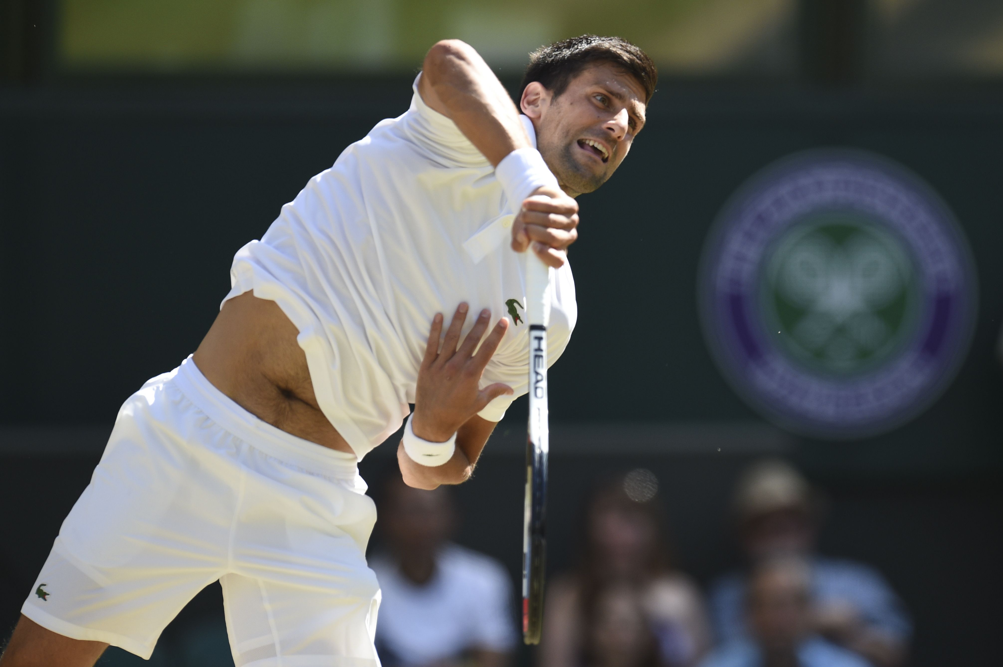 Federer, Djokovic wonder if Wimbledon courts can improve