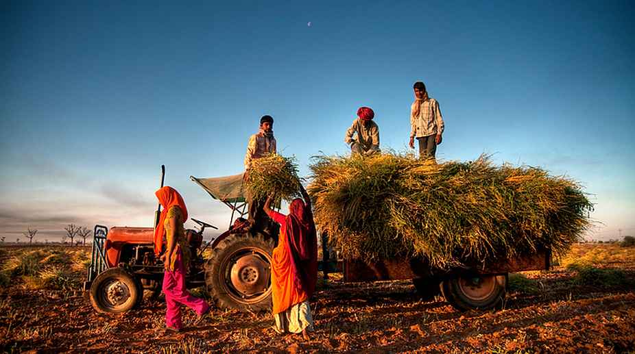 Agriculture R&D expenditure increased by 26 pc in 7 years: Survey