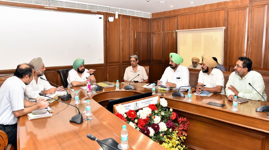 Crop diversification : Punjab to follow horti-forestry models