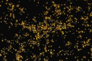 Indian astronomers discover massive ‘Saraswati’ galaxy supercluster