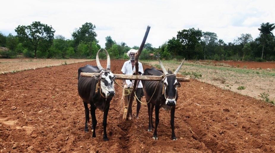 BJP MP flays Maha govt over loan waiver scheme for farmers